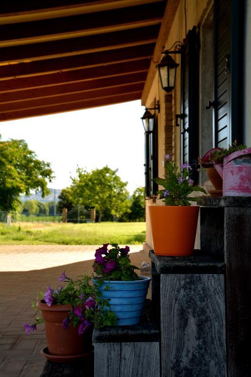 La Confluenza Casa Vacanze Apartment Osimo Cameră foto